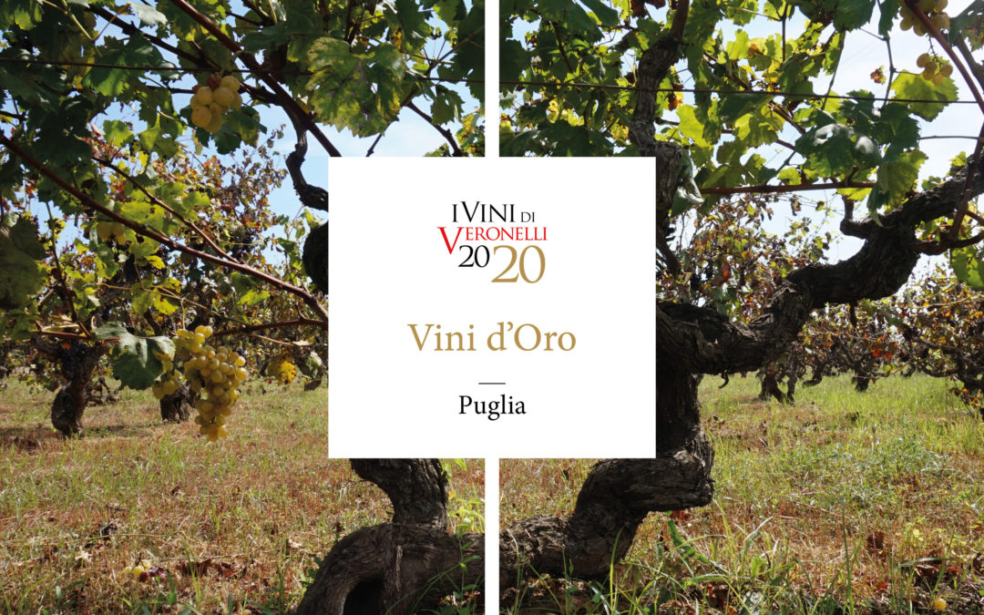 Vini d’Oro. Puglia