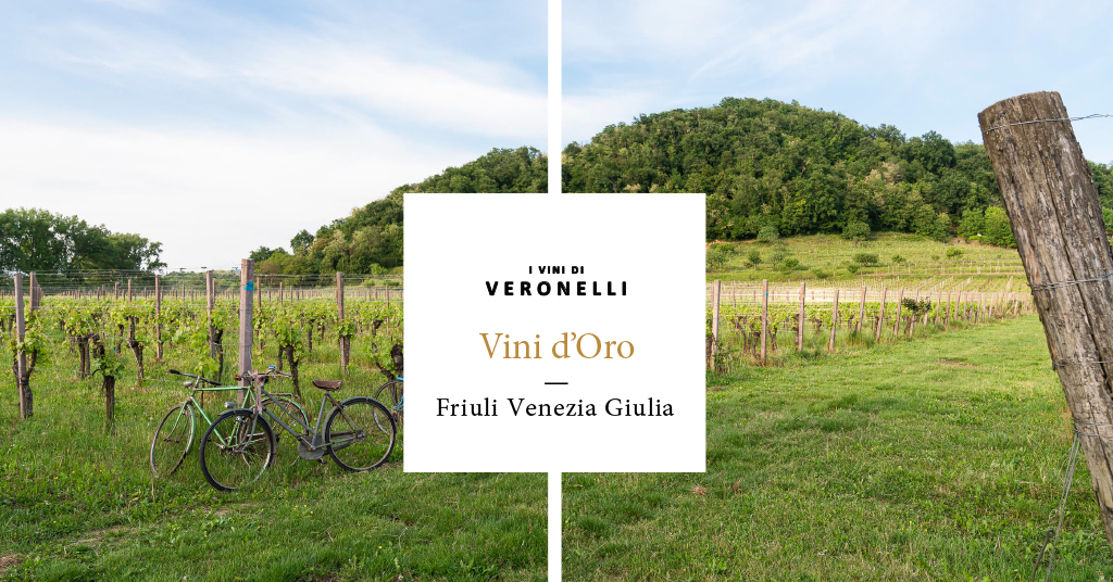 Genesis Friuli Colli Orientali Sauvignon 2018 Valentino Butussi