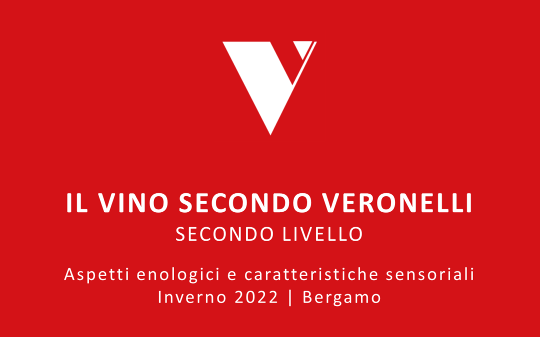 Il vino secondo Veronelli – Livello II