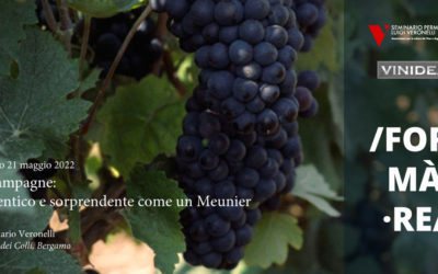 Champagne: autentico e sorprendente come un Meunier