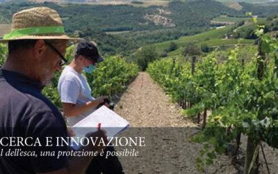 RICERCA E INNOVAZIONE. Mal dell’esca: una protezione è possibile