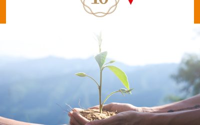 10 anni di solidarietà: il Seminario Veronelli sostiene ACRA