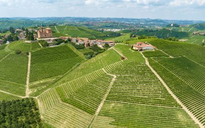 Barolo En Primeur 2024