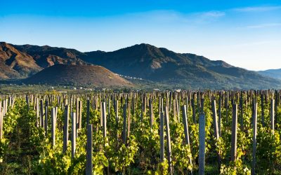 Sicilia orientale. Spizzichi d’eccellenza enoica