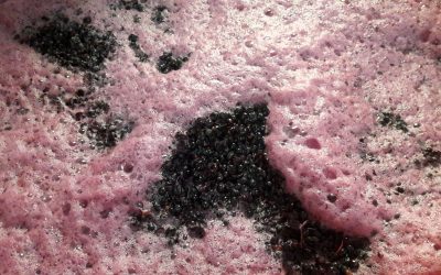 Malolattica: come, cosa e perchè