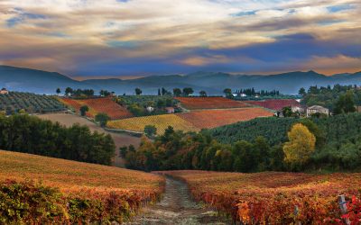 Umbria. Spizzichi d’eccellenza enoica